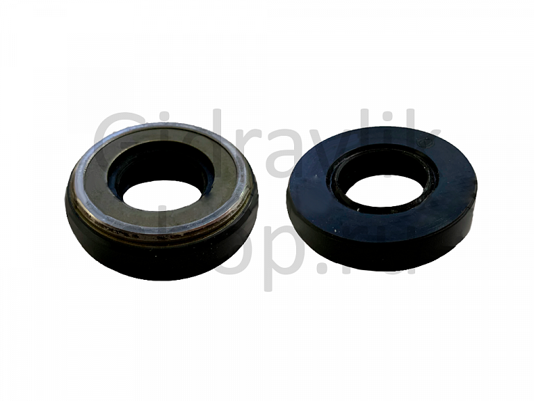 Сальник, AP1033I