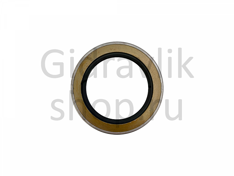 Сальник, AP2864I, 50*72*12