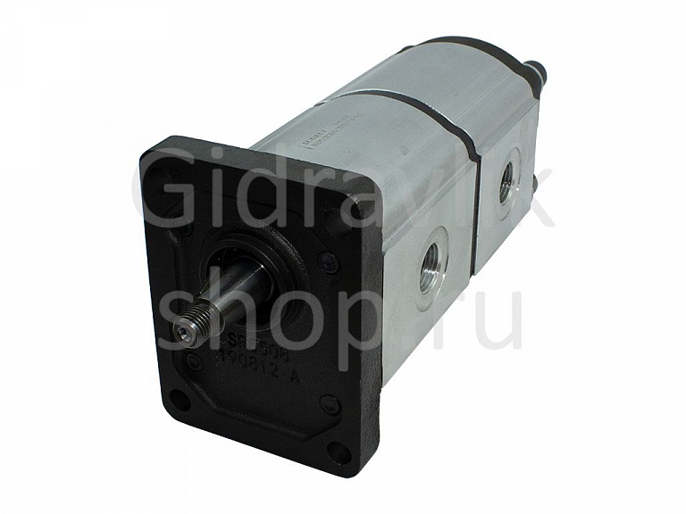 Насос шестеренный сдвоенный, RGGP2/2E2D30/20Z5L7/L6-FcZ