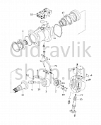 HPV116 EX200