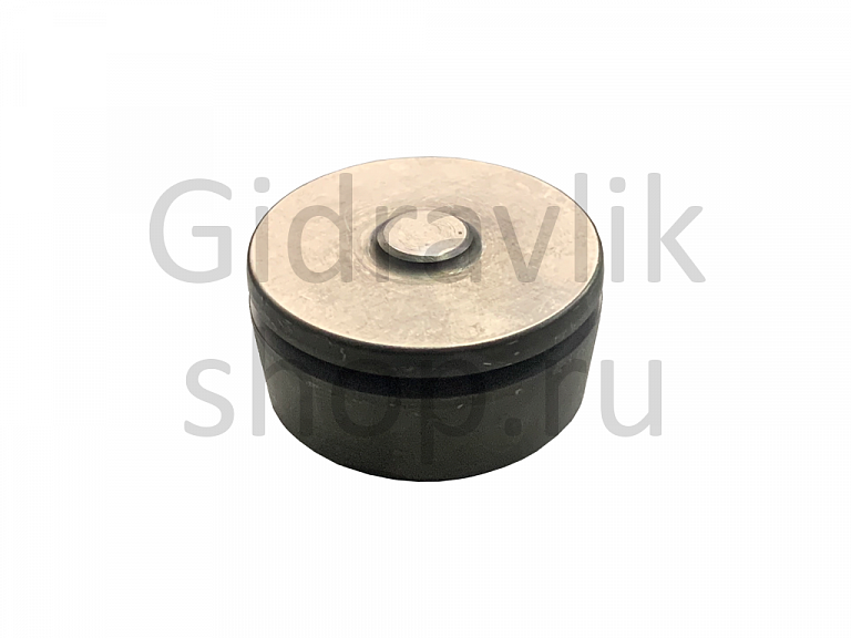 Плунжер опорный (сервопоршень), TM60