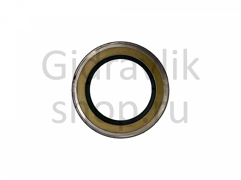 Сальник, AP2379F